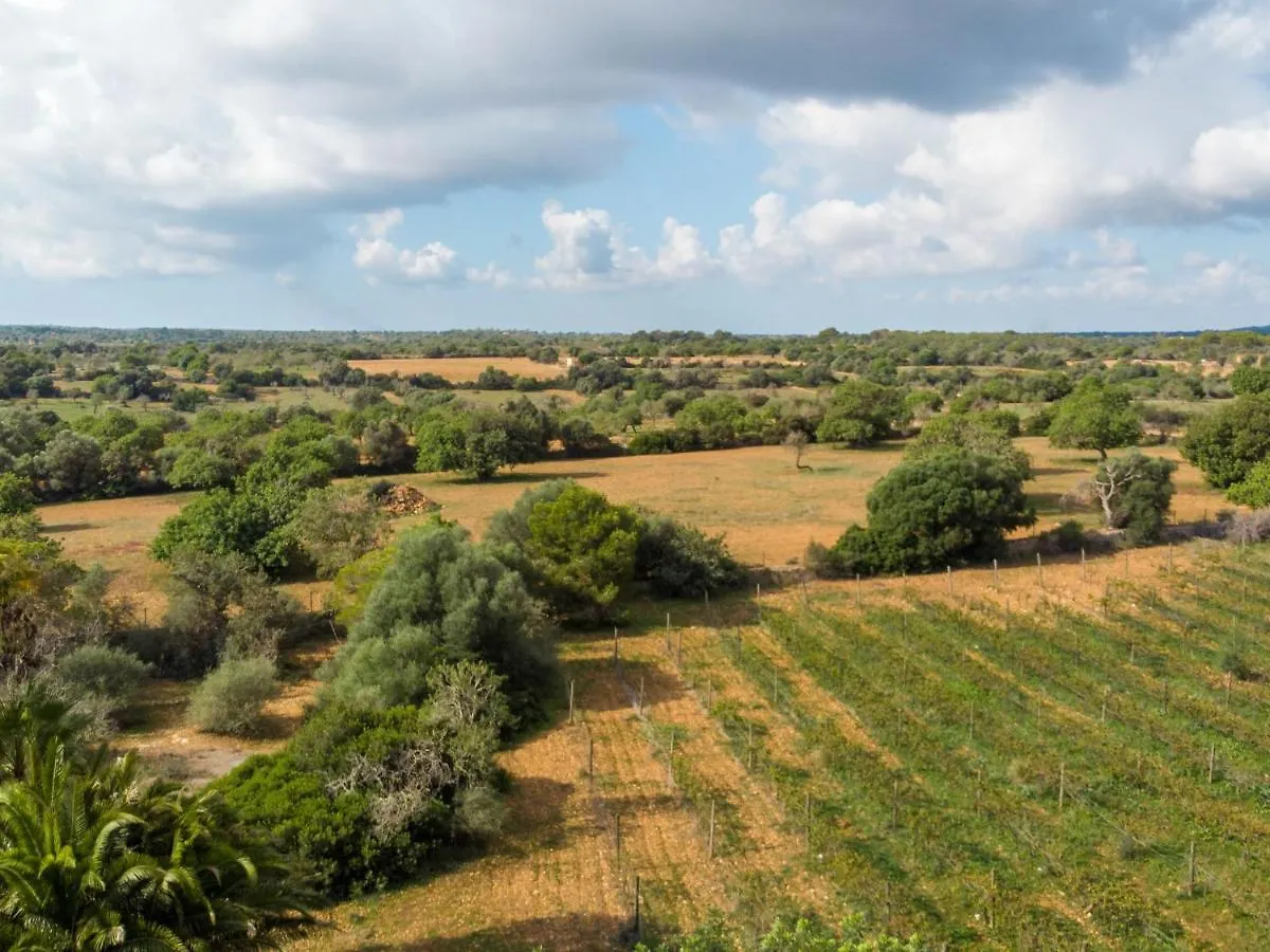Holiday Home Morla - Psr130 By Interhome Porreras